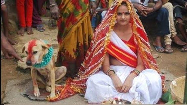 Genç kız köpekle evlendirildi