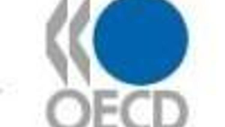 OECD says Turkey will grow 4 percent in 2008
