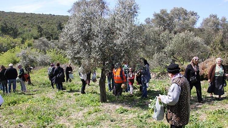 Urla’da bin yıllık kültür festival oldu