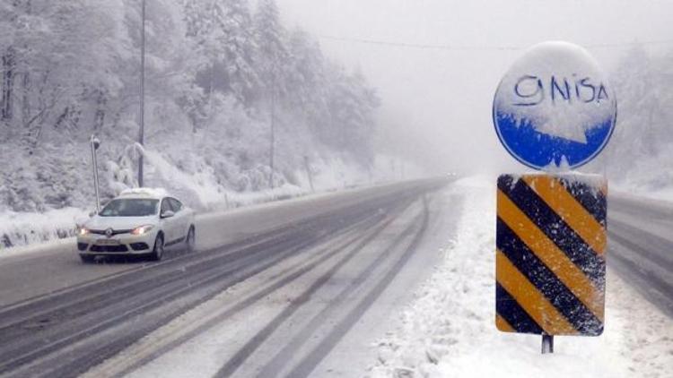 Ankarada lapa lapa nisan karı