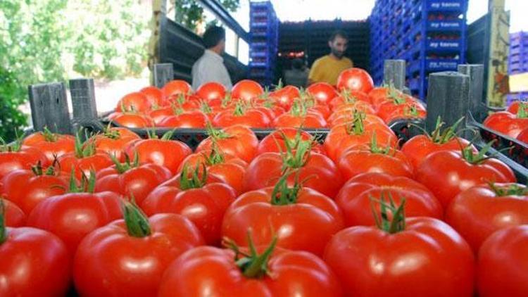 Rusya 25 ton domatesi Türkiyeye geri gönderdi