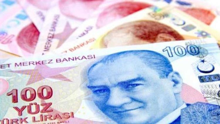 TÜİK yetkilisi: Asgari geçim tutarı 1424 lira