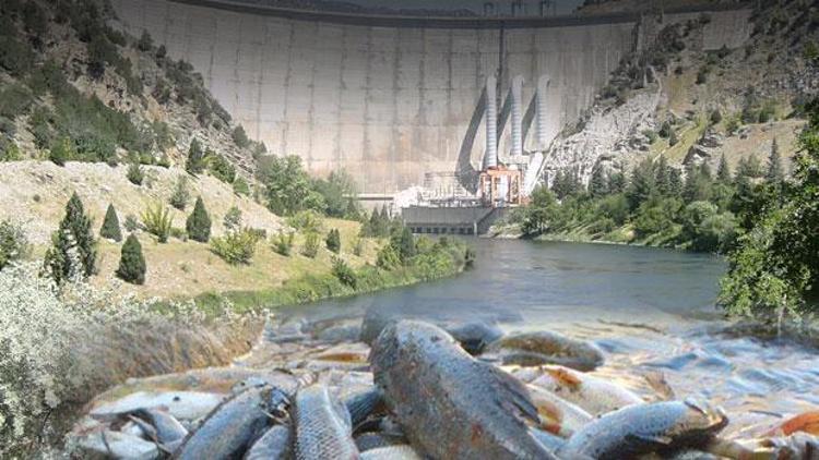 Kemah Barajı için alınan ÇED raporuna mahkemeden ret