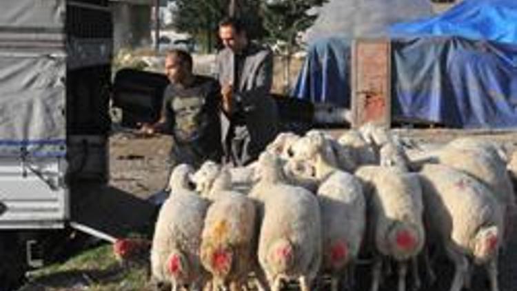 Vali Coş sohbet etmek istedi, celepler kaçtı