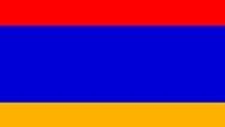 Ermenistan teknik direktörünün işine son verildi
