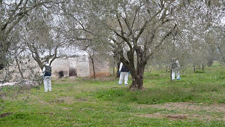 Bir kadın katliamı daha: Diri diri yakmışlar