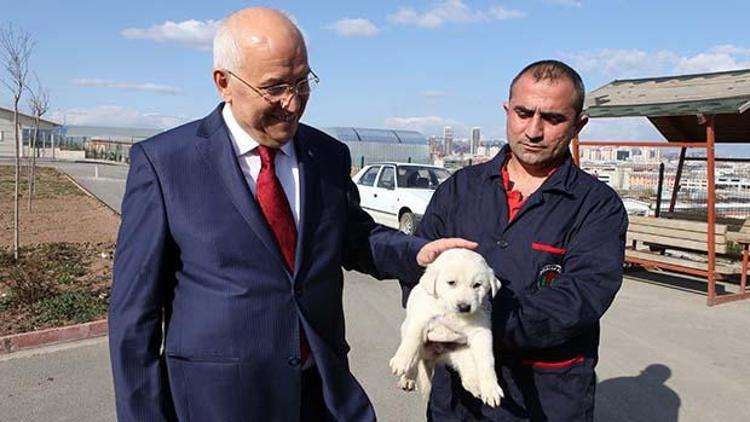 Minik dostlara barınak ziyareti