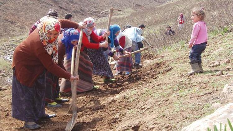 Kan davası ‘otoyolu’