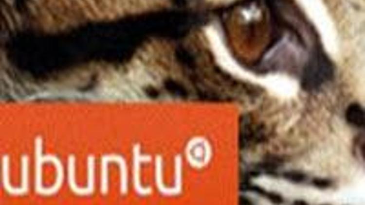 Yeni Ubuntunun ilginç adı