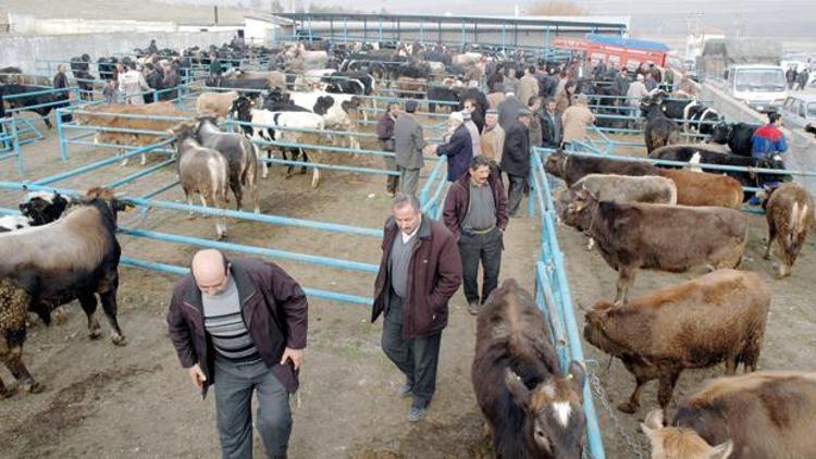 Kurban satış yerleri belirlendi