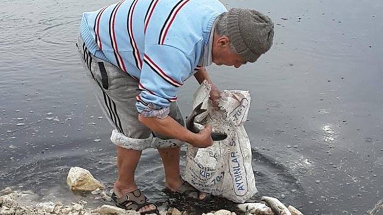 Bademli Deresinde balık ölümlerine inceleme