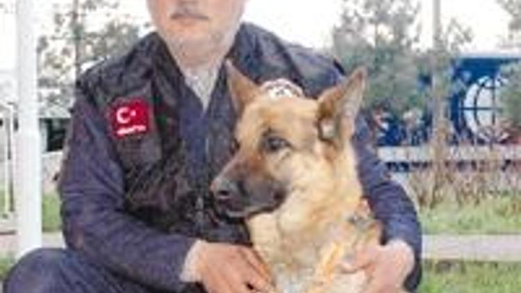 Türkiye’nin ilk madalyalı köpeği