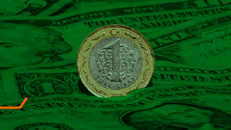 Kriz Kahini Roubiniden kritik dolar uyarısı