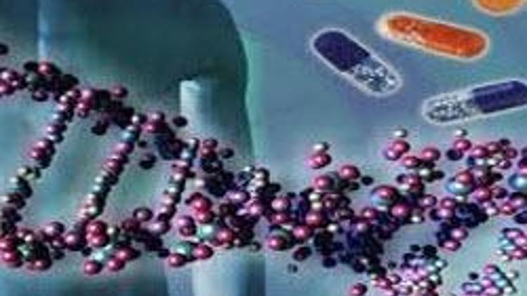 İnsanın genomunun yüzde 80i belirli bir işlevi yerine getiriyor