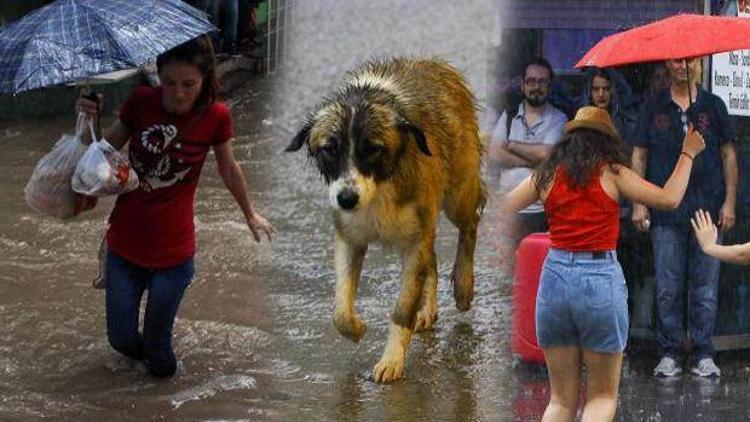 Yaz yağmuru Türkiyeyi felç etti