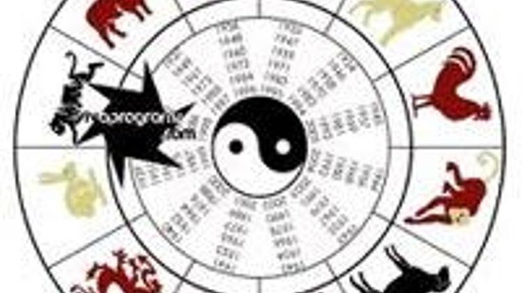 Biraz da Çin Astrolojisi