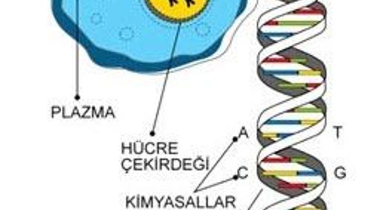 Darwin doğruyu söylüyor