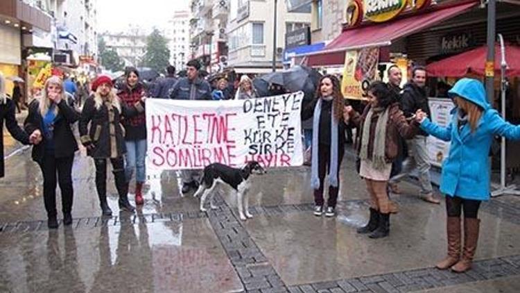 Halaylı protesto