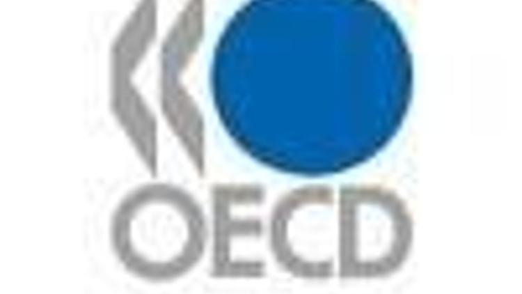 Turkish economy to slowdown seriously in 2009-OECD