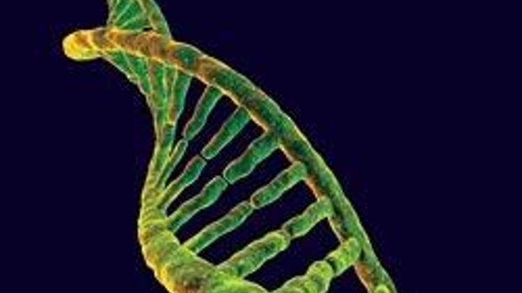 Türklere özel bir genom bulunamadı