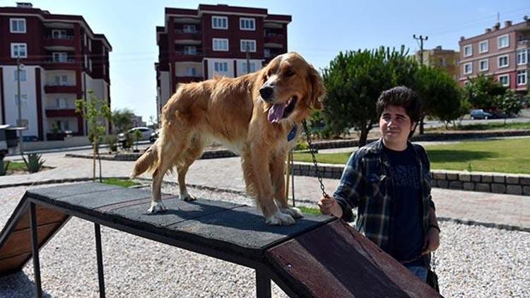 Evcil hayvanlar için özel park oluşturuldu