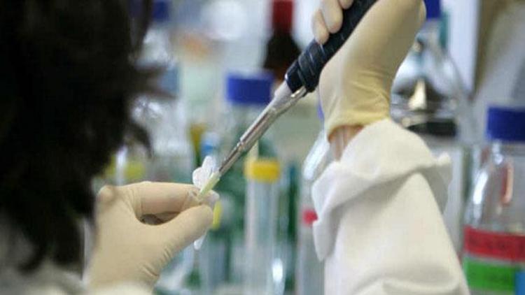 Ebola aşısının deneyleri umut verici