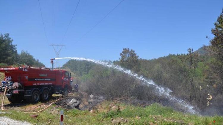 Köyceğizde orman yangını