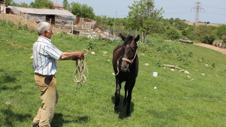 5 bin liralık at çobanlığı işine yenisi bulundu