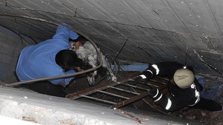 Havalandırma boşluğunda köpek kurtarma operasyonu