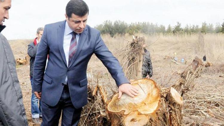 Bunlar ağaca baktığında odun görüyor