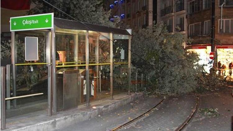 Tramvay yoluna ağaç devrildi: 3 yaralı