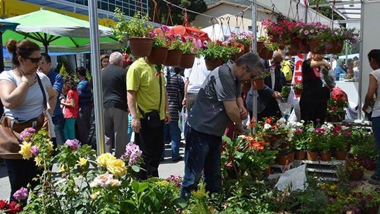 Miss gibi festivale yoğun ilgi