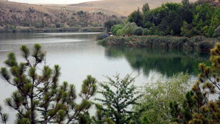 Gökçek alacağım dedi, ODTÜ ağaçlandırma kampanyası başlattı