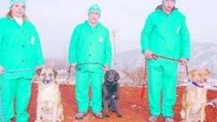 Sahipsiz köpekler için çağdaş sahiplendirme