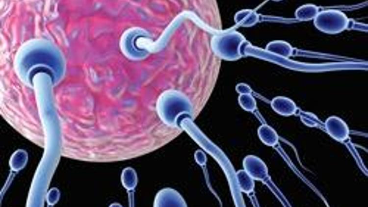 40 yaş spermi riskli