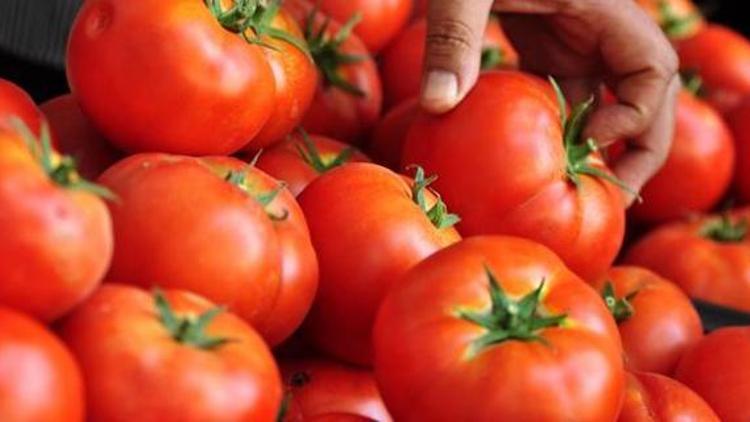 Yerli domates üreticisi gözünü ihracata dikti