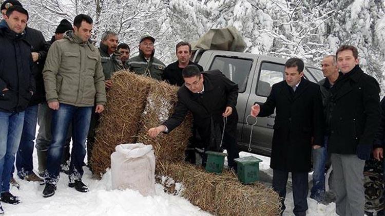 Çanda yaban hayatı unutulmadı