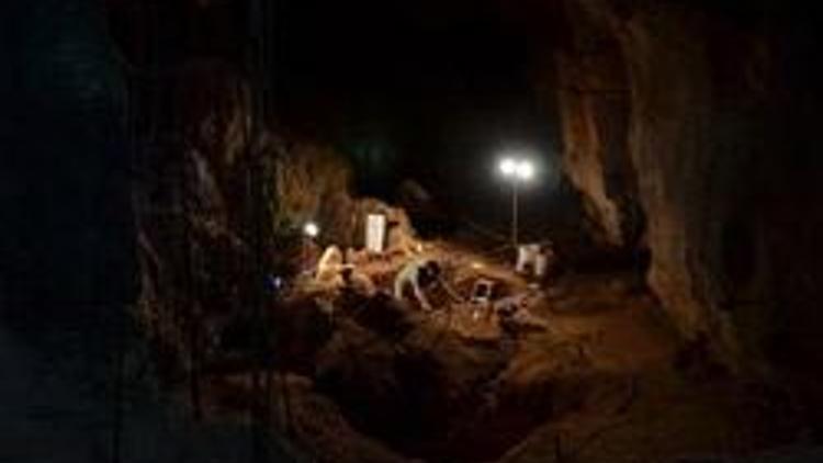Avusturalyada fosil dolu tüneller bulundu