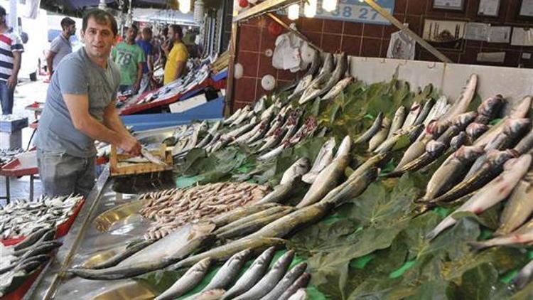 Balıkçılar Vira Bismillah dedi, 100 liralık hamsi 30 liraya düştü