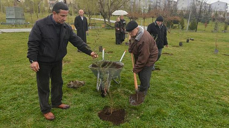 Yaşlılardan fidan şenliği