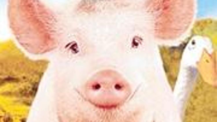 ’Domuz yılı’nda Çin TV’sinde domuz yasağı