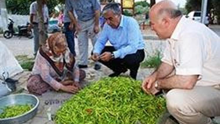 Ak Partide ramazan ziyaretleri