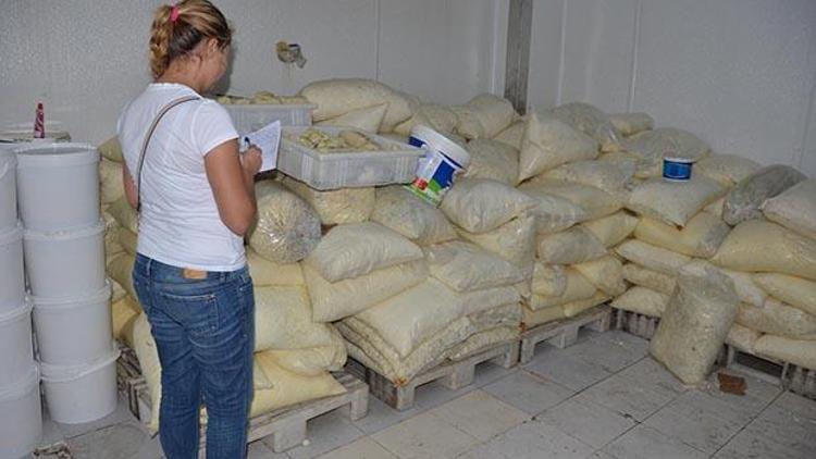 İzmirde 10 ton küflü peynir yakalandı
