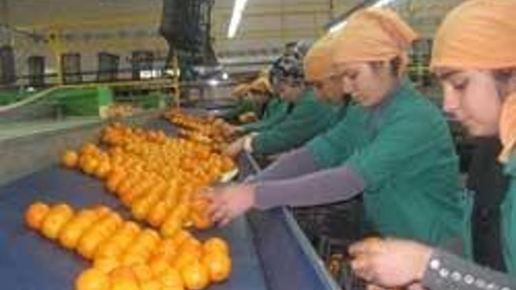 Mango Gıda çalışanlarının üçte birini çıkarıyor
