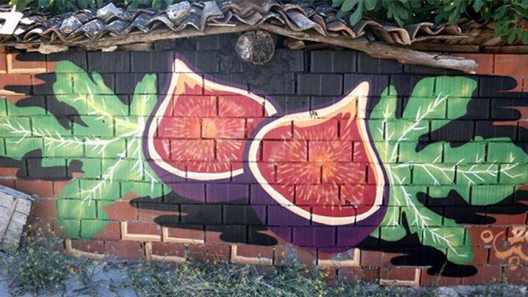 Sokak Sanatı-Graffiti  Bornova duvarlarında