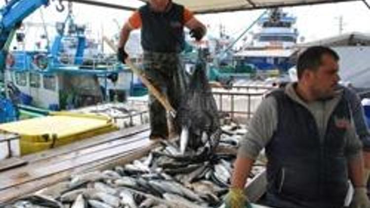 Balıkçılar av sezonunu hayal kırıklığıyla tamamladı