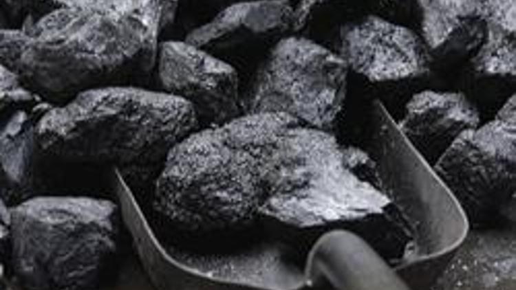 Kömür fiyatları bu yıl cep yakıyor