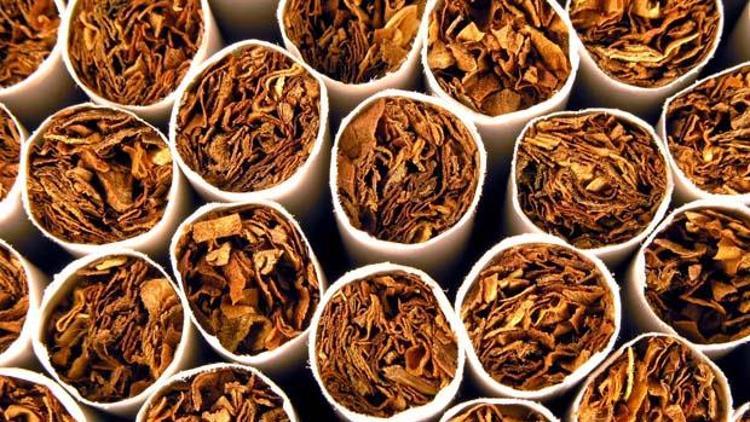 Tütün fabrikası kurmanın bedeli açıklandı