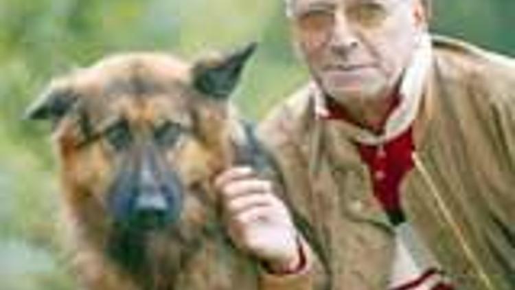 Bu köpek eğitmeni kurtlarla 3.5 ay yaşadı