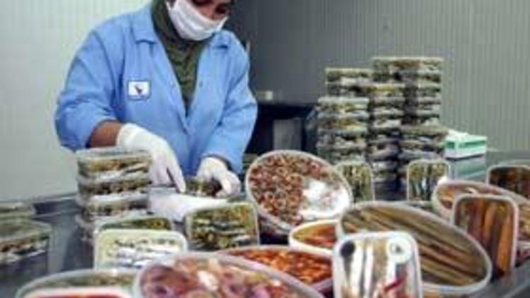 Salyangoz pazarının yüzde 40 Türkiyenin elinde
